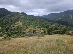 WhatsApp-Image-2026-03-15-at-8.03.32-PM-1