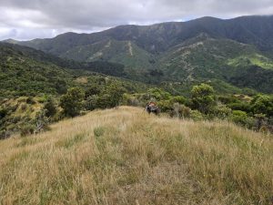 WhatsApp-Image-2026-03-15-at-8.03.32-PM