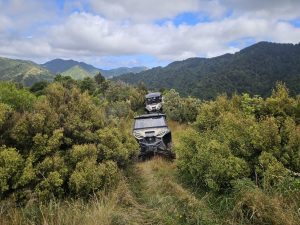 WhatsApp-Image-2026-03-15-at-8.03.34-PM