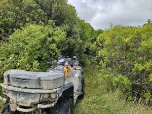 WhatsApp-Image-2026-03-15-at-8.03.35-PM-2