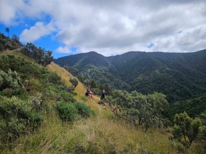 WhatsApp-Image-2026-03-15-at-8.03.35-PM