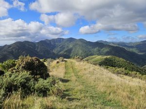 WhatsApp-Image-2026-03-15-at-8.03.36-PM-3